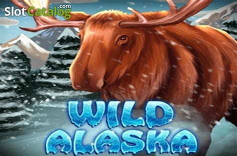 Wild Alaska Review 2024